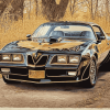 1978 Pontiac Trans Am Diamond Painting