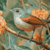 Abyssinian Catbird Exotic Bird Diamond Painting