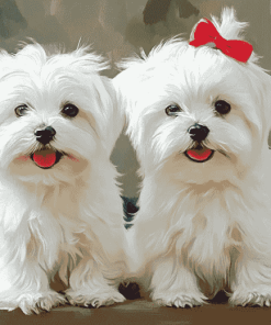 Adorable Maltese Dogs Diamond Painting