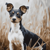 Adorable Rat Terriers Diamond Painting