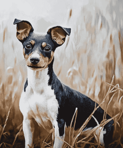 Adorable Rat Terriers Diamond Painting