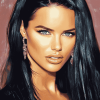 Adriana Lima Celebrity Diamond Painting