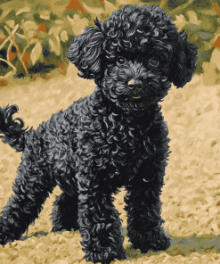 Aesthetic Black Poodle Puppy Diamond Painting