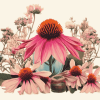 Aesthetic Echinacea Blossoms Diamond Painting