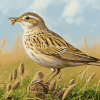 Aesthetic Eurasian Skylark Diamond Painting