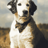 Aesthetic Great Pyrenees Dog Diamond Painting