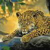 Aesthetic Leopard Diamond Painting