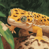 Aesthetic Leopard Gecko Art Diamond Painting