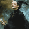 Aesthetic Minerva McGonagall Diamond Painting