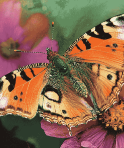 Aesthetic Painted Butterfly Diamond Painting