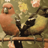 Aesthetic Pinsons Bird Diamond Painting