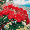 Aesthetic Pohutukawa Blossoms Diamond Painting