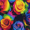 Aesthetic Rainbow Roses Diamond Painting