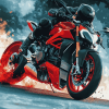 Aesthetic Streetfighter Motorbikes Diamond Painting