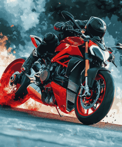 Aesthetic Streetfighter Motorbikes Diamond Painting