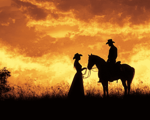 Aesthetic Western Silhouette Diamond Painting