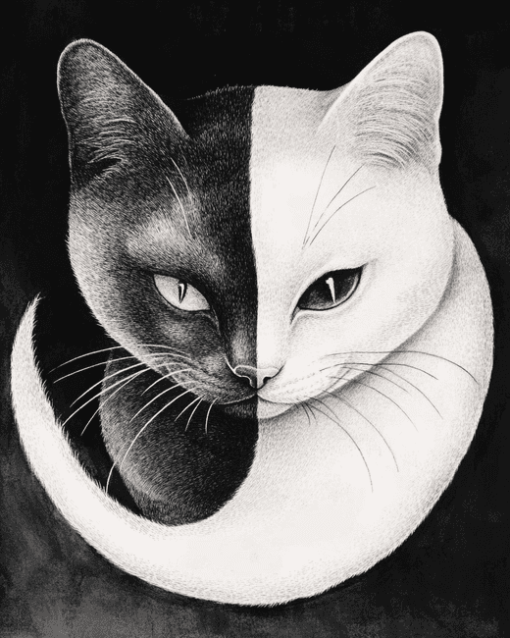 Aesthetic Yin Yang Cats Diamond Painting