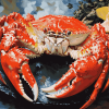 Alaskan King Crabs Diamond Painting