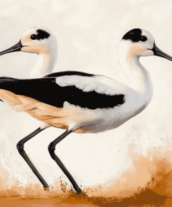 American Avocet Birds Diamond Painting