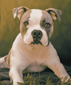 American Bulldog Puppy Diamond Painting