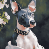 American Hairless Terrier Puppies Diamond Painting