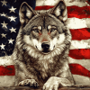 American Wolf Diamond Painting