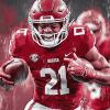 Arkansas Razorbacks Football Star Diamond Painting