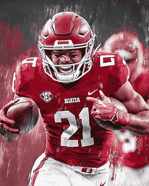 Arkansas Razorbacks Football Star Diamond Painting