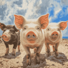 Bahama Pig Diamond Painting