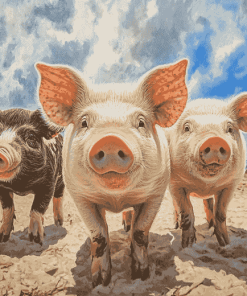 Bahama Pig Diamond Painting