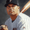 Baseball Star Pudge Rodriguez Diamond Painting