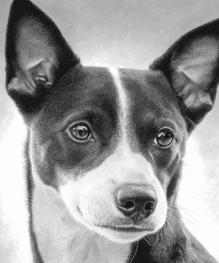 Basenji Puppy Black And White Diamond Painting