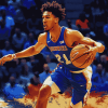 Basketball Star Jalen Wilson Diamond Painting