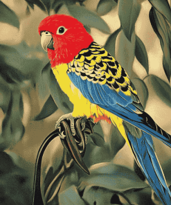 Beautiful Eastern Rosella Diamond Painting