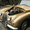 Beige Jaguar Vintage Engines Diamond Painting