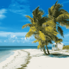 Biscayne Florida Beach Diamond Painting