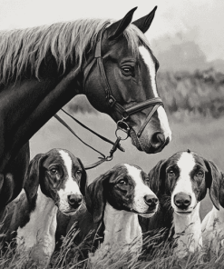 Black And White Horse And Hound Diamond Painting