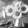 Black And White Sunflower Blossoms Diamond Painting