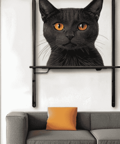 Black Cat Wall Scene Diamond Painting