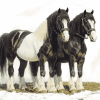 Black Clydesdale Horse Diamond Painting