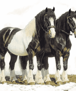 Black Clydesdale Horse Diamond Painting