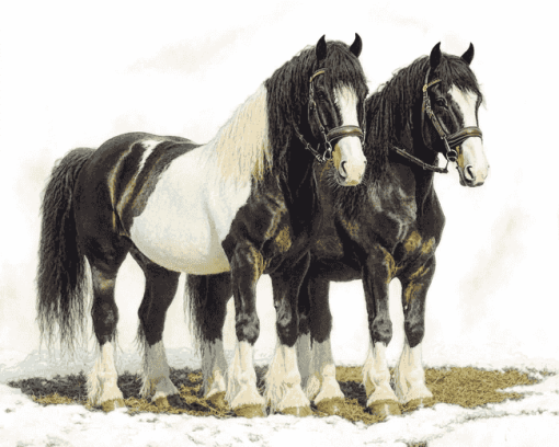 Black Clydesdale Horse Diamond Painting