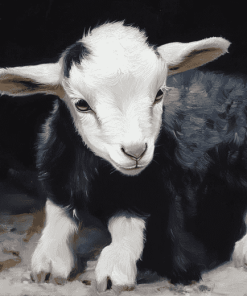 Black Goat Animals Diamond Painting