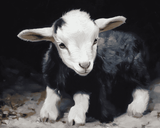 Black Goat Animals Diamond Painting