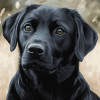 Black Labrador Puppy Diamond Painting