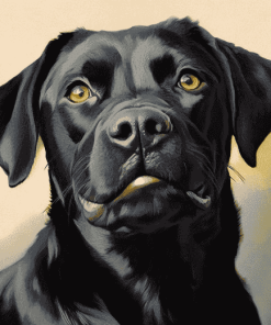 Black Labrador Puppy Diamond Painting