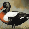 Black Paradise Shelduck Art Diamond Painting