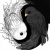 Black and White Birds Yin Yang Diamond Painting