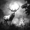 Black and White Deer Diamond Painting