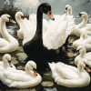 Black and White Swans Diamond Painting